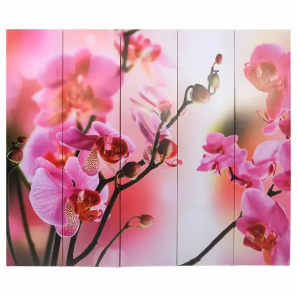 Kokkupandav ruumijagaja sirm lillemustriga, 200 x 170 cm, nulupuidust raam, PVC-kangas – 2