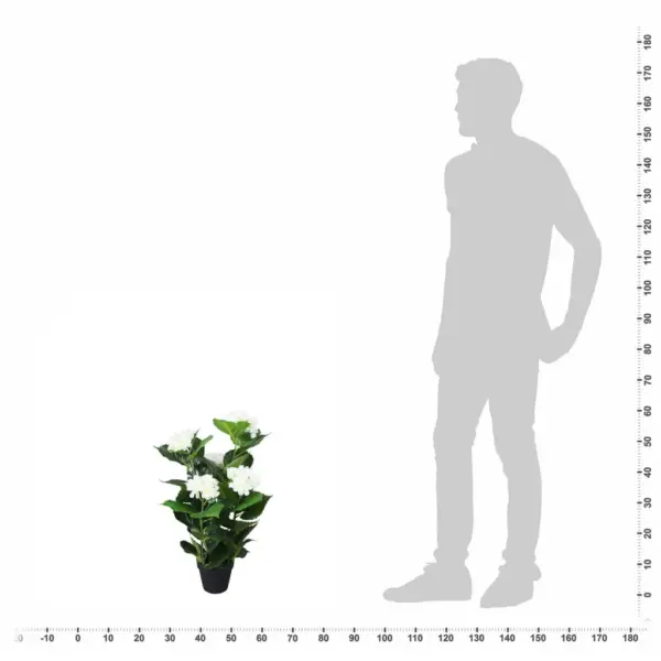 Kunsthortensia potis, 60 cm, valge, 51 lehe ja 5 õiega – 3