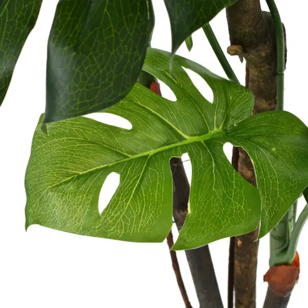 Kunstmonstera potis, 170 cm, roheline, puidust varte ja plastist lehtedega - 2