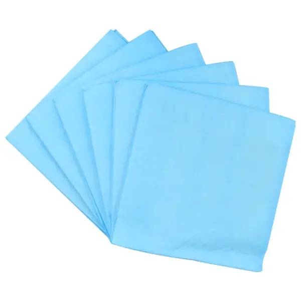 Lemmiklooma treeninglinad 200 tk, 60 x 60 cm, sinine/valge, imavus 300 ml – 6