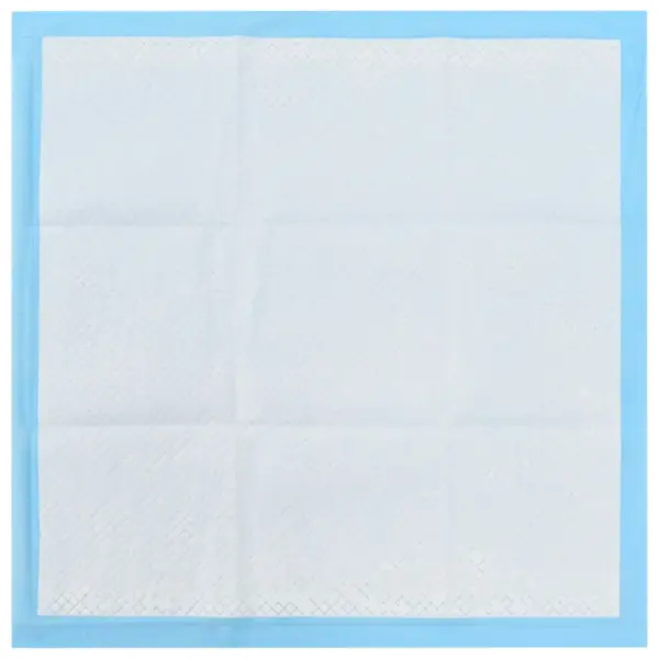 Lemmiklooma treeninglinad 200 tk, 60 x 60 cm, sinine/valge, imavus 300 ml – 9