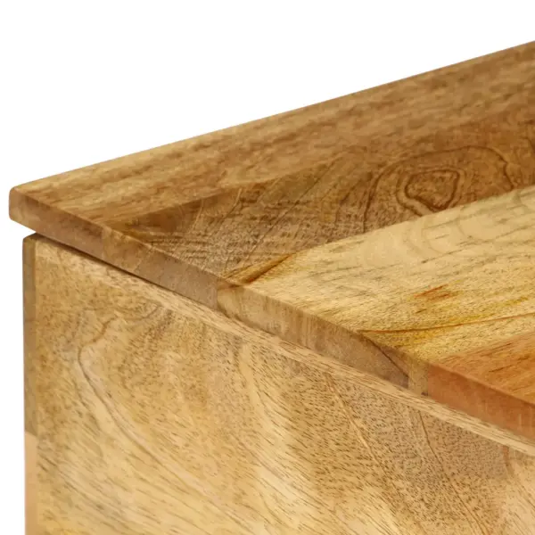 Mangopuidust kohvilaud tõstetava plaadiga ja hoiukastiga, 110 x 55 x 35 cm - 12