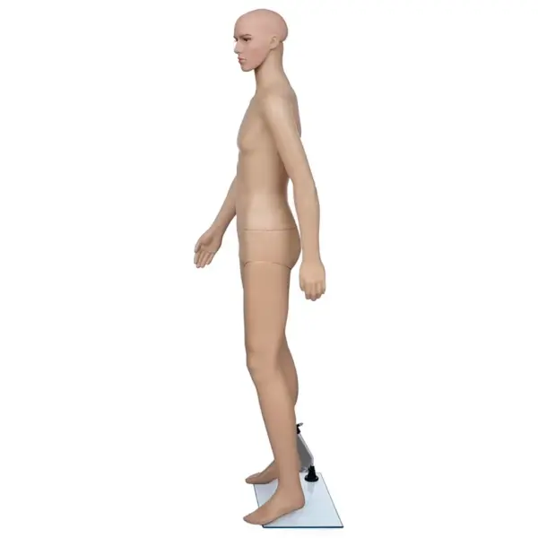 Beež meesmannekeen klaasaluse ja alumiiniumstatiiviga, suurus 54, kõrgus 187 cm – 3