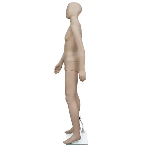 Beež meesmannekeen ümmarguse peaga, klaasist alusel, 187 cm – 3