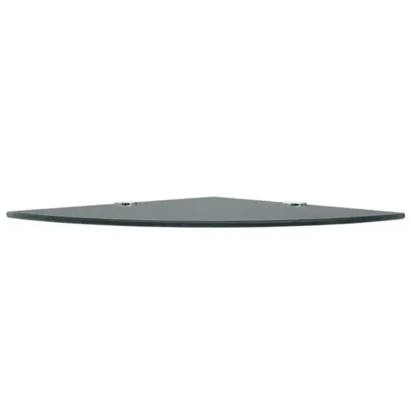 Mustad klaasist nurgariiulid, 2 tk, kroomitud tugedega, 25 x 25 cm – 4