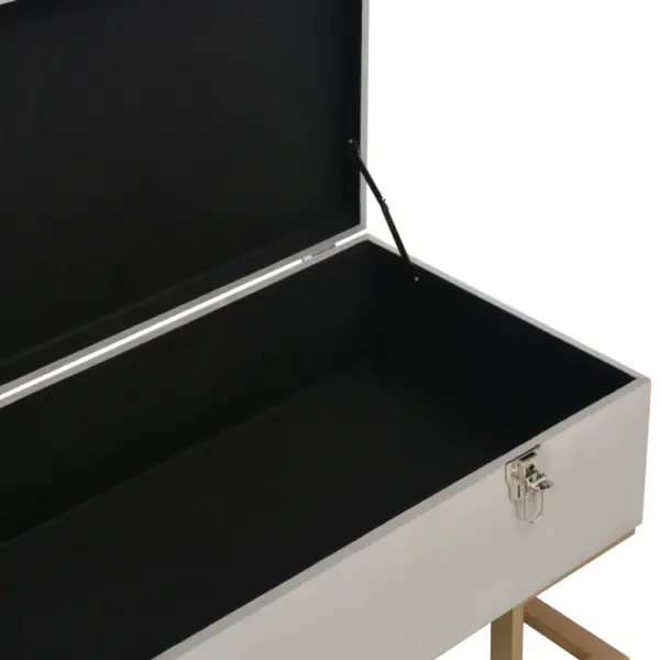 Panipaigaga hall sametpink kuldsete metalljalgadega, 105 cm – 5