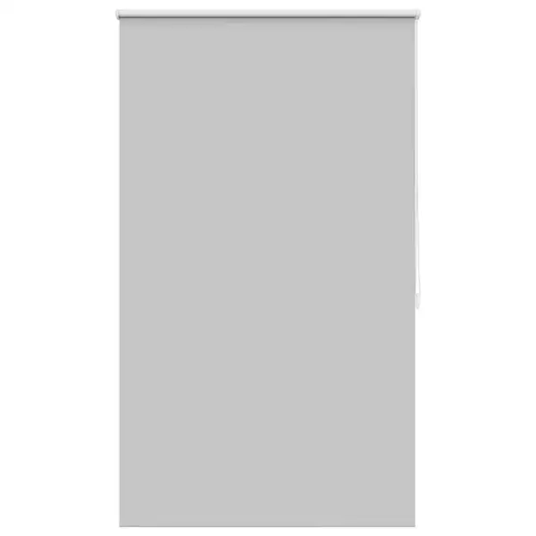 Pimendav termokattega rullkardin, hall, 100 x 175 cm – 2
