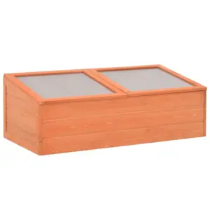 Puidust madal kasvuhoone PC-plaadist kaantega, 100 x 50 x 34 cm