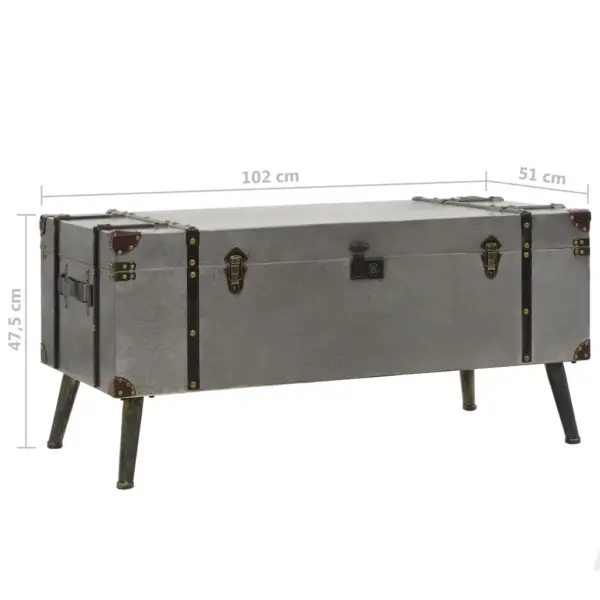 Reisikirstu stiilis kohvilaud panipaigaga, hõbedane, MDF ja alumiinium, 102 x 51 x 47,5 cm - 10