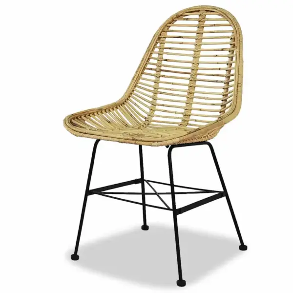 Rotangist söögitoolid sepistatud rauast jalgadega, 2 tk, beež, 48 x 61 x 85 cm – 3