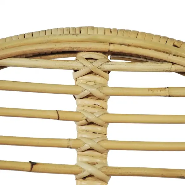 Rotangist söögitoolid sepistatud rauast jalgadel, 4 tk, beež, 48 x 61 x 85 cm – 4