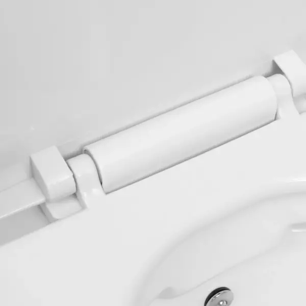 Seinale kinnitatav ääreta WC-poti ja peidetud loputuskastiga komplekt, bideefunktsiooniga, valge – 10