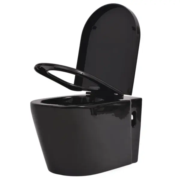 Seinale kinnitatav WC-poti ja peidetud loputuskastiga komplekt, must, 11 l, 56 x 36 x 34 cm – 3