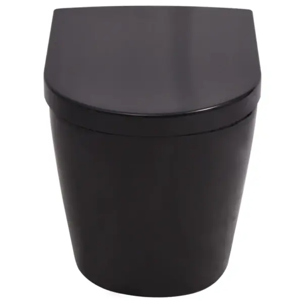 Seinale kinnitatav WC-poti ja peidetud loputuskastiga komplekt, must, 11 l, 56 x 36 x 34 cm – 6