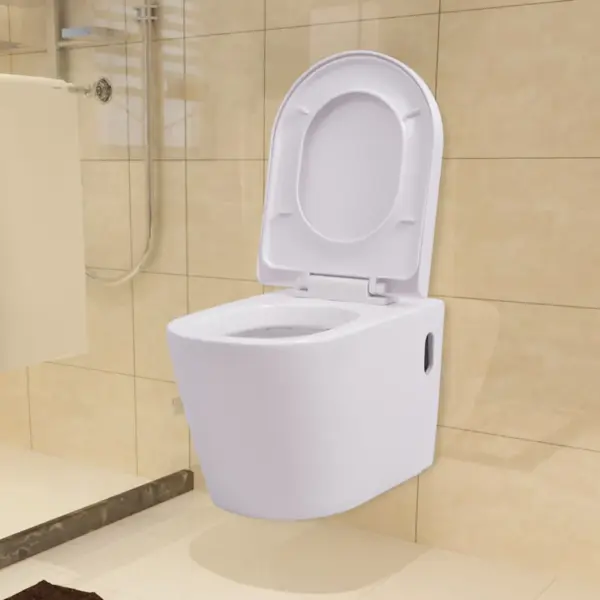 Seinale kinnitatava WC-poti ja peidetud loputuskasti komplekt, valge, vaikselt sulguva prill-lauaga - 2
