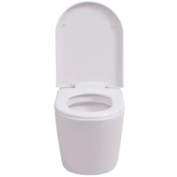Seinale kinnitatava WC-poti ja peidetud loputuskasti komplekt, valge, vaikselt sulguva prill-lauaga - 5