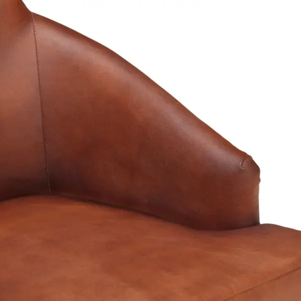 Pruunid söögitoolid käetugedega, ehtsast kitsenahast, 6 tk – 6
