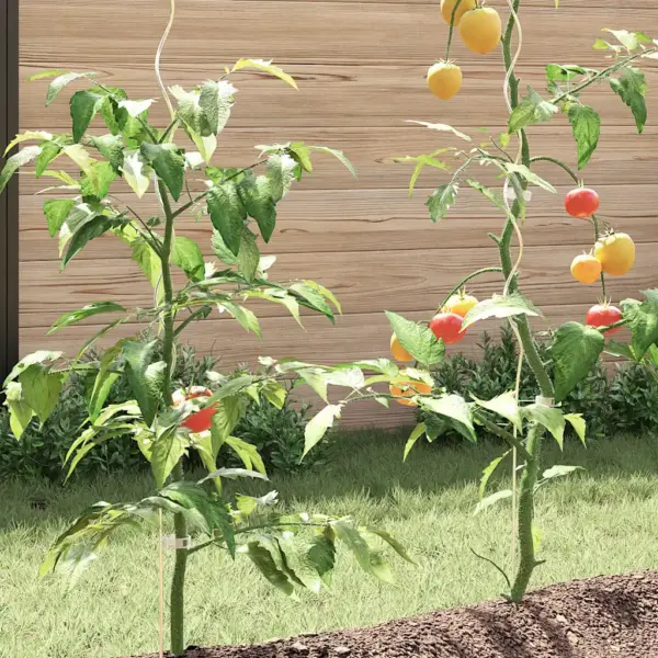 Spiraalsed taimetoed tomatitele ja ronitaimedele, tsingitud teras, 5 tk, 110 cm - 4