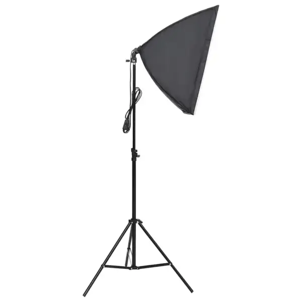 Professionaalne stuudiovalgusti portree- ja tootefotoks, LED valguskast 60 x 40 cm, statiivil 78–230 cm - 2