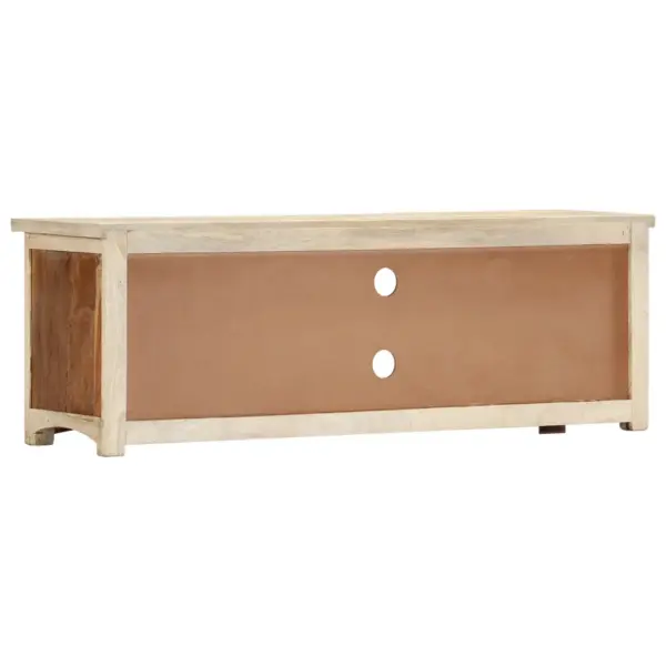 Taaskasutatud puidust telerikapp 2 ukse, 2 sahtli ja 2 sektsiooniga, 120 x 30 x 40 cm – 4