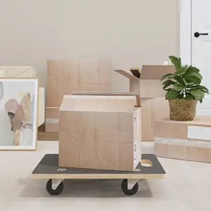 Libisemiskindla pinnaga transpordikäru, 2 tk, 60 x 40 x 11,5 cm, 250 kg