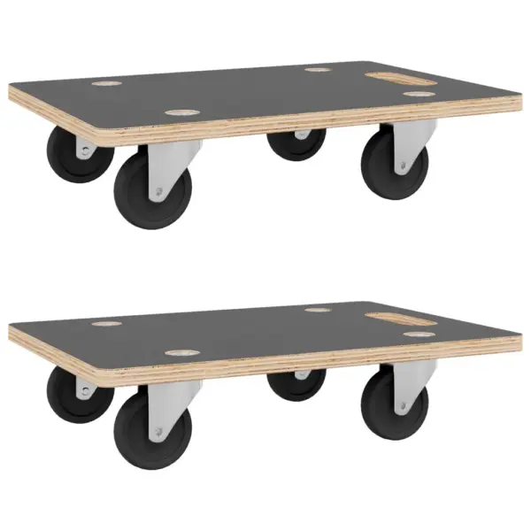 Libisemiskindla pinnaga transpordikäru, 2 tk, 60 x 40 x 11,5 cm, 250 kg – 2