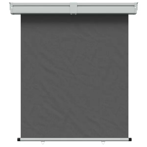 Tagasikeriv külgmarkiis rõdule ja terrassile, UV-kaitsega, 100% polüester, metallraam – 2