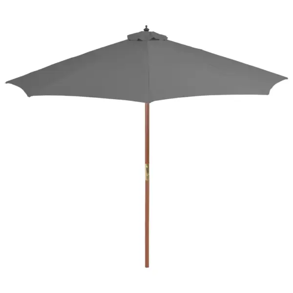 Aiapäikesevari puidust postiga, vändamehhanismiga, 300 cm, antratsiithall – 2