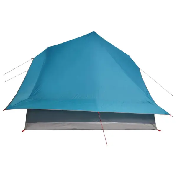 Pere tipi telk, sinine taft, 10-le, 364 x 281 x 257 cm – 5