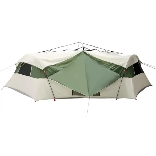 Pere telk varikatusega, roheline, taft, 520 x 520 x 190 cm – 2