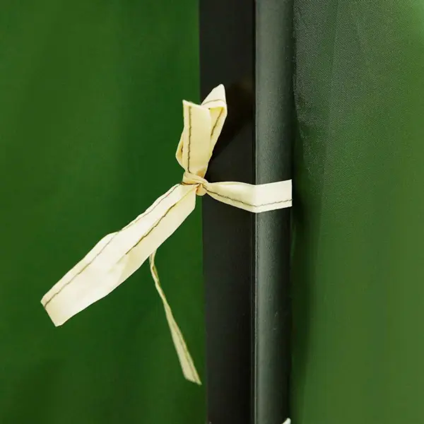Pere telk varikatusega, roheline, taft, 520 x 520 x 190 cm – 6