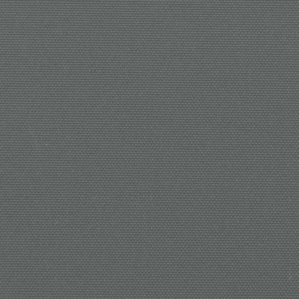 Väljatõmmatav külgmarkiis privaatsuse ja tuulekaitseks, antratsiithall, 140 x 600 cm